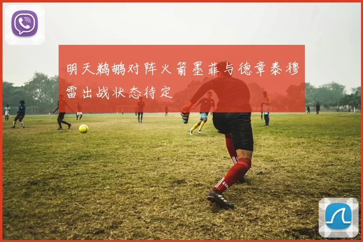 明天鹈鹕对阵火箭墨菲与德章泰穆雷出战状态待定