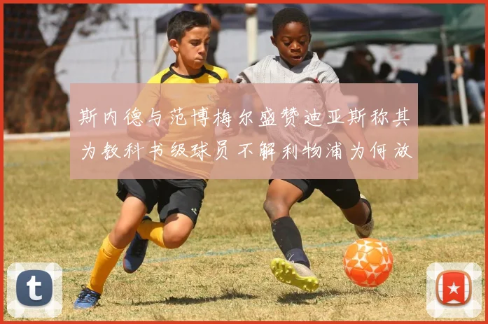 斯内德与范博梅尔盛赞迪亚斯称其为教科书级球员不解利物浦为何放弃他